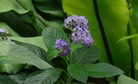 One-stop Supply Chain Services, For Amazon Sellers And Online Platforms.